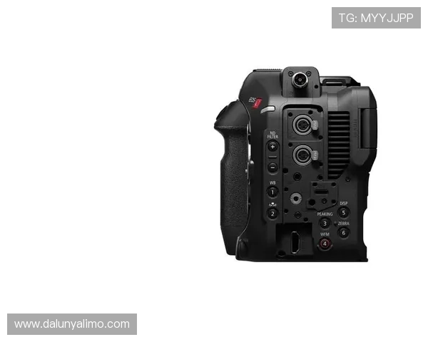 尊龙z6线上开户安全指南让用户无忧进行账户注册