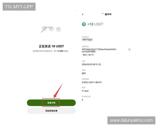 尊龙H5官网用户指南，详细介绍注册登录、充值提现等操作流程方便快捷